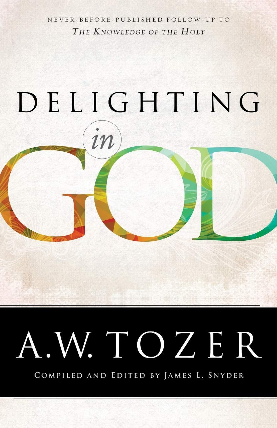 Delighting in God Paperback