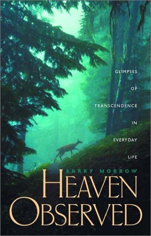 Heaven Observed: Glimpses of Transcendence in Everyday Life (USED)